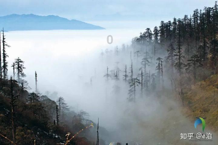 送女朋友什么圣诞礼物-天涯问答平台