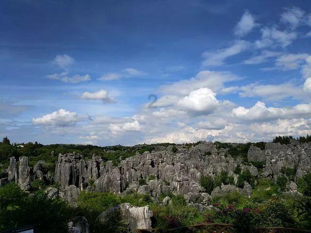 逃离橙园