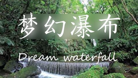 逃离奇异森林