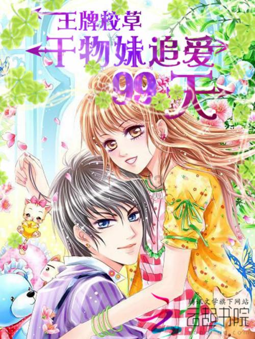 热带假日