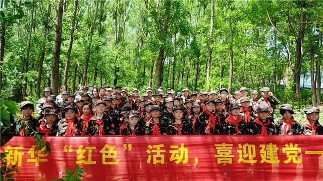 美妙森林找不同